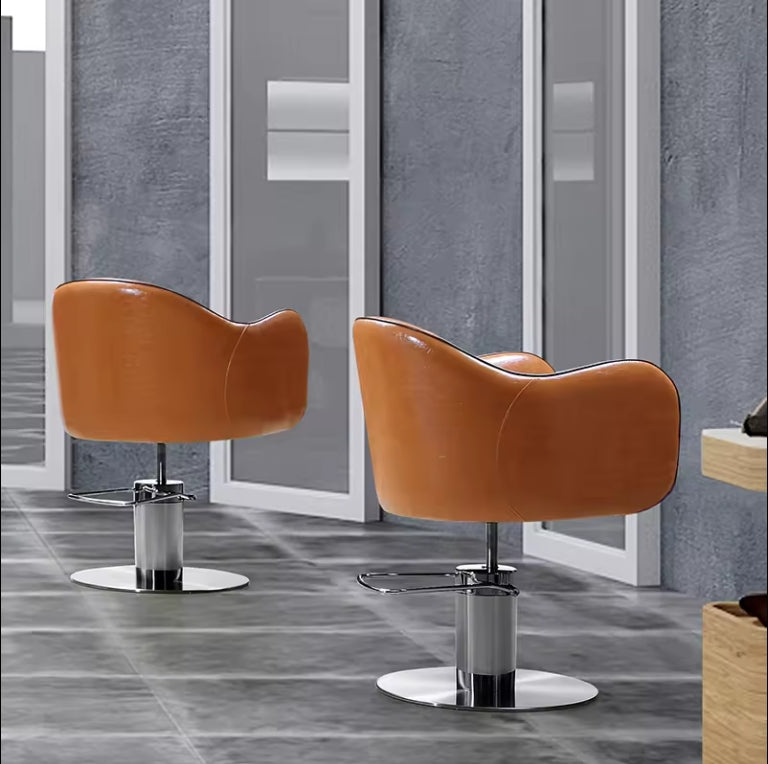 Premium Salon Styling Chair Elegant Hair Dress Barber Shop Chair